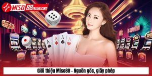 Giới thiệu Miso88 - nguồn gốc, giấy phép