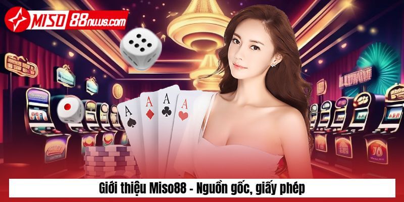 Giới thiệu Miso88 - nguồn gốc, giấy phép