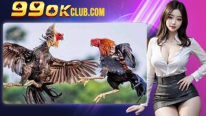 Quy tắc cơ bản trong trận chiến đá gà mà bạn cần biết